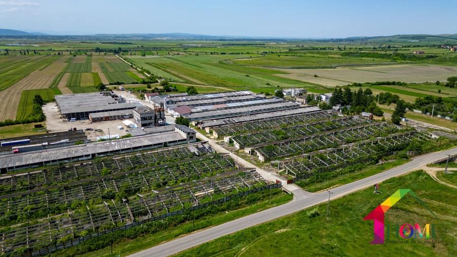 Spațiu industrial, de 100,000 mp, în Buhoci