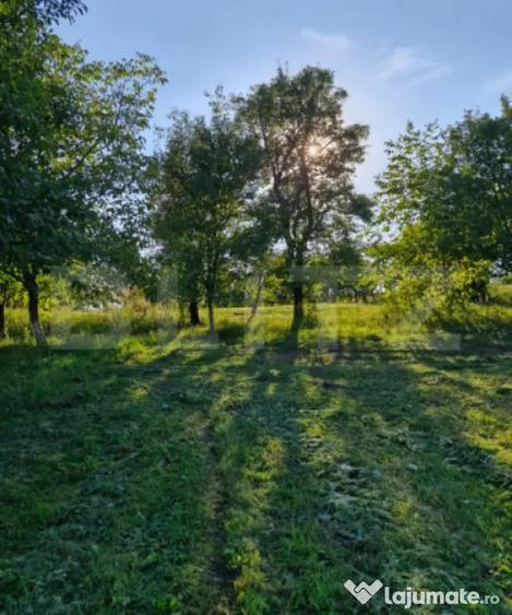 Casa de vanzare Budacu de Jos | 6 km de centrul Bistri - 5