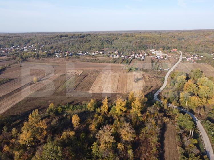 Casă individuală cu 2 camere cu Teren 1000 Mp în Valea Mare