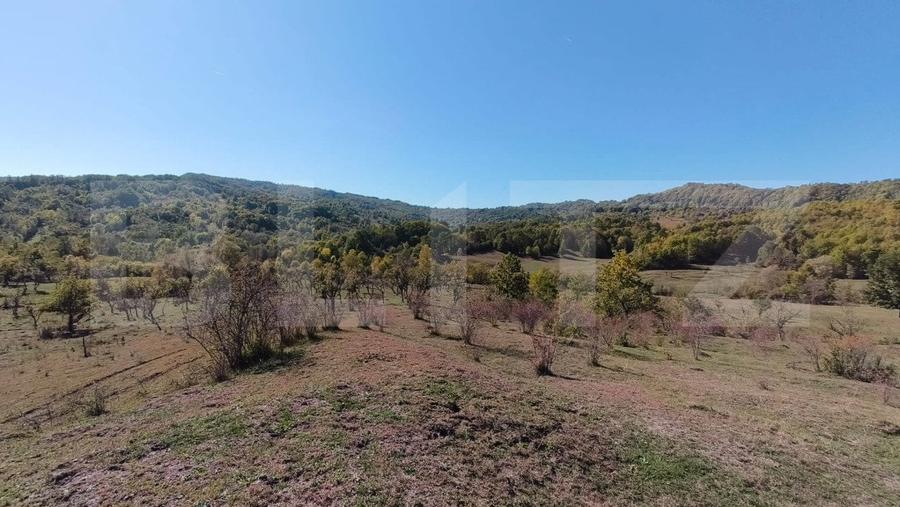 Teren agricol extravilan de 7382 mp, în Valea Lungă-Cricov