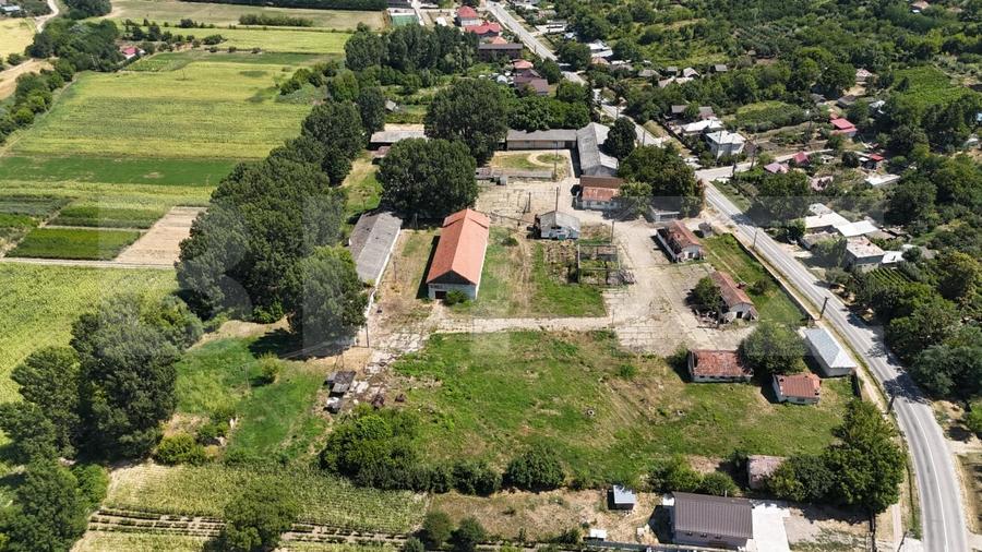Teren Construcții intravilan de 32000 mp, în Răducăneni