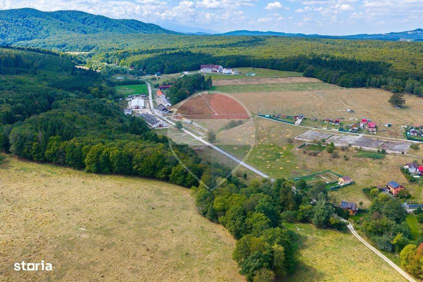 Spațiu comercial, de 1,215 mp, în Vlădeni