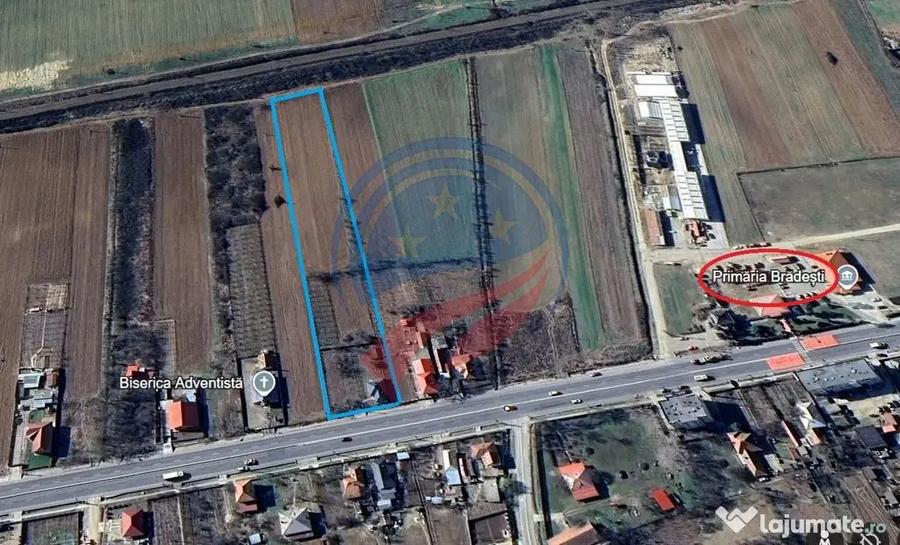 Casă cu 3 camere cu Teren 7952 Mp în Brădești