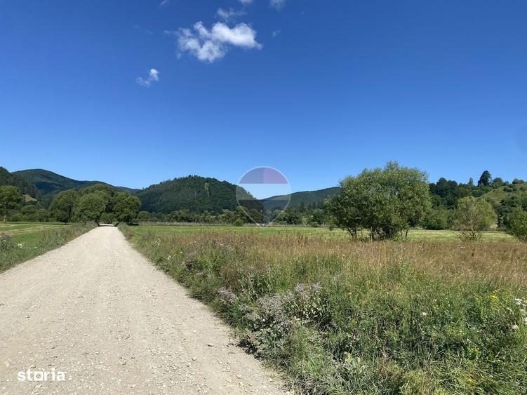 Teren 4,306mp Vama Buzaului langa Cascada Urlatoarea - 2