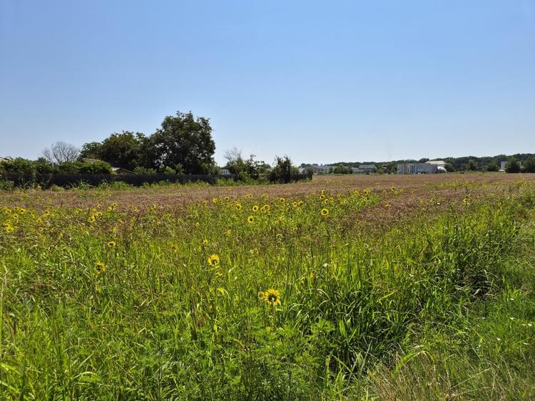 Teren Construcții intravilan de 785 mp, în Ciofliceni