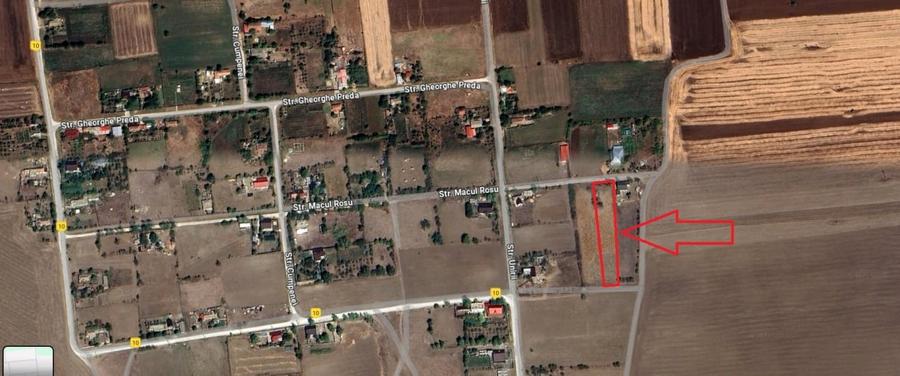 Teren Construcții intravilan de 2500 mp, în Comana