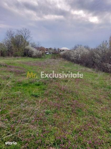 Teren Topoloveni - 3670 mp - langa padure, aproape de Centrul orasului - 3