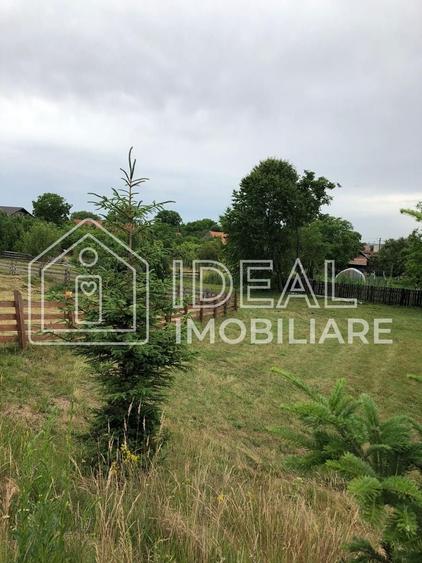 Teren Construcții intravilan de 1829 mp, în Cârțișoara