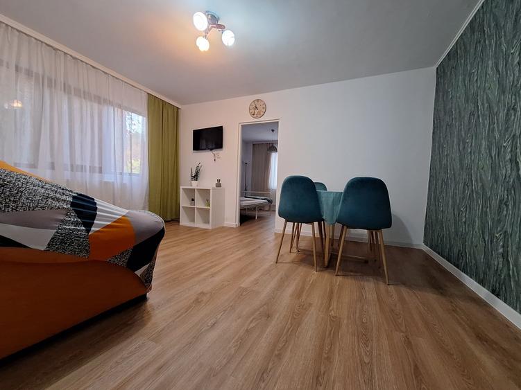 Apartament cu 2 camere nedecomandat, mobilat în Take Ionescu