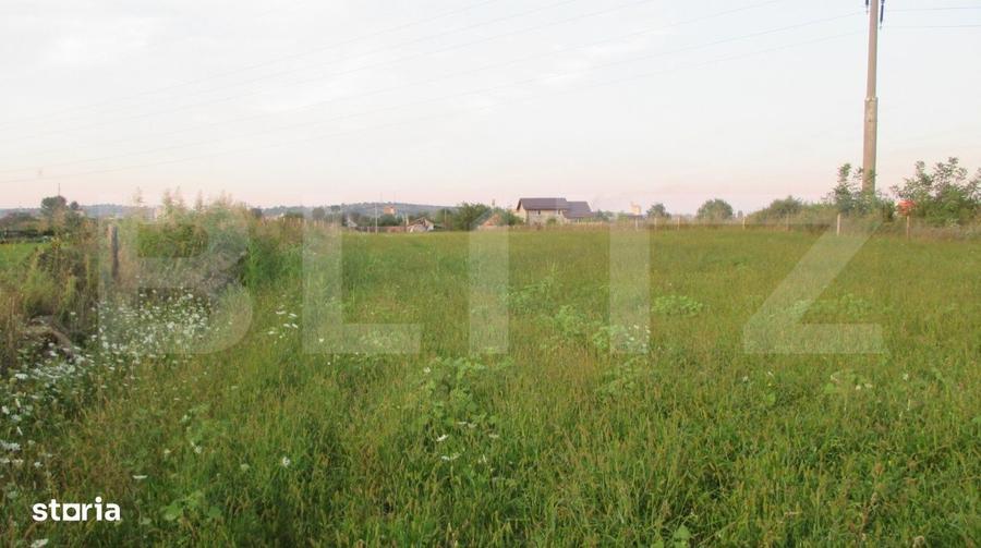 Teren intravilan 6000 mp cu 2 fronturi, parcelabil - 3