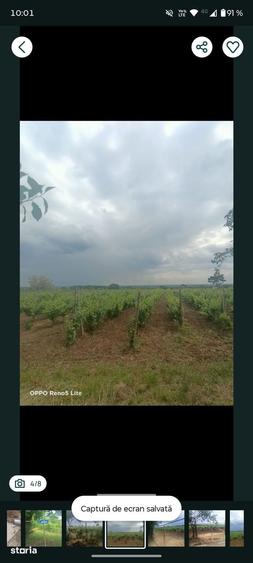 Teren de 1800 mp, în Valea Călugărească