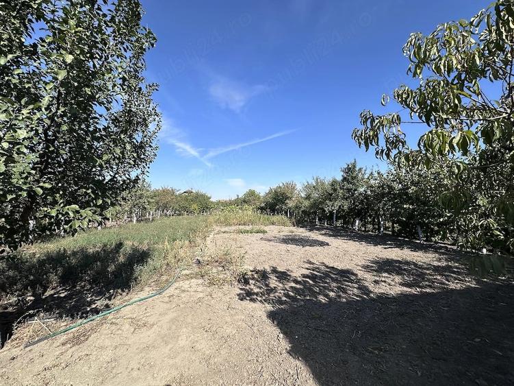 Casă cu Teren 1500 Mp în Apateu