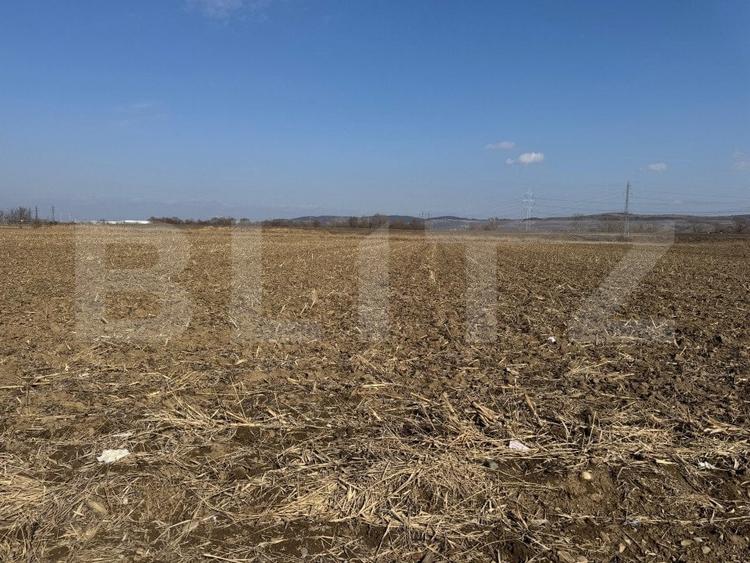 Teren agricol extravilan de 2900 mp, în Sud-Est