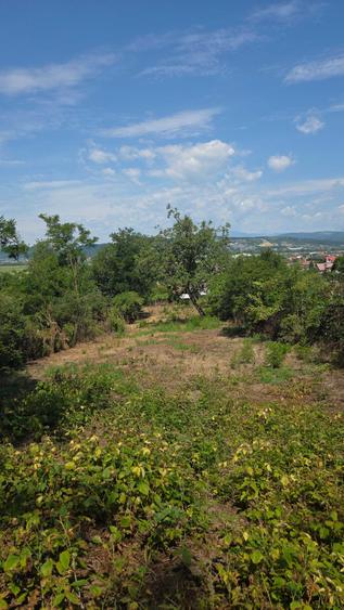 Teren de 1036 mp, în Budești