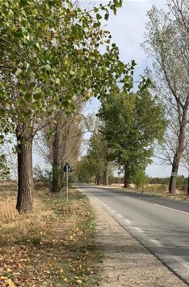 Teren Construcții intravilan de 3000 mp, în Afumați
