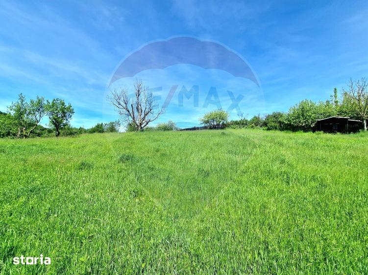 Teren de 2505 mp, în Mărgineni
