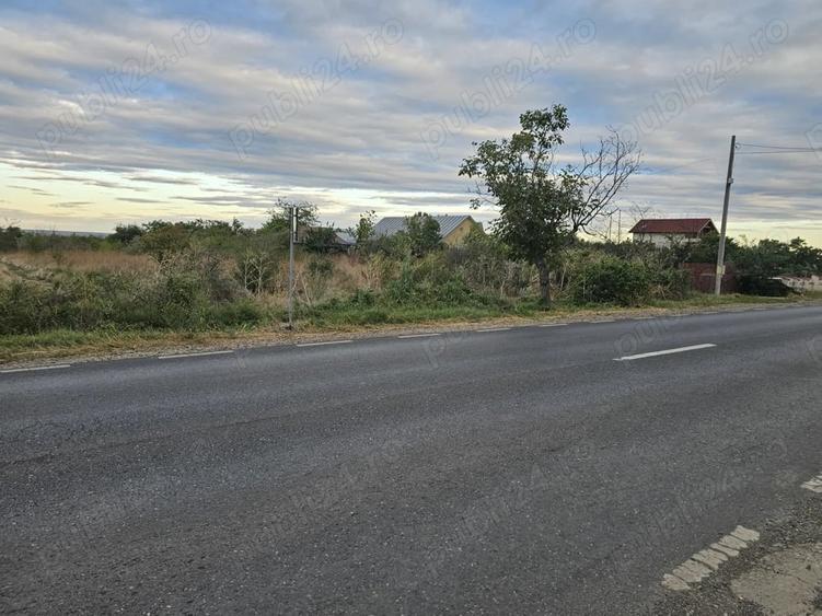 Teren de 741 mp, în Central