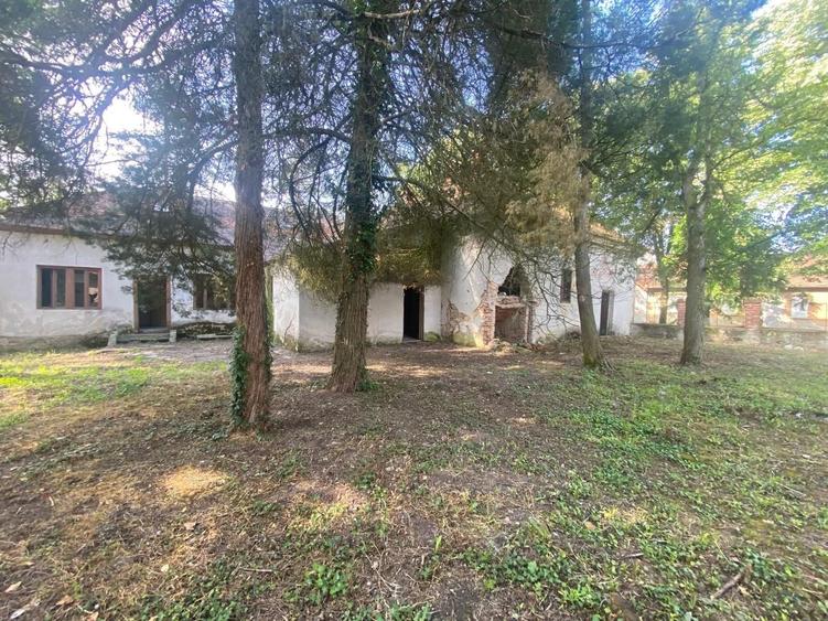 Casă individuală cu 10 camere cu Canalizare în Balinț