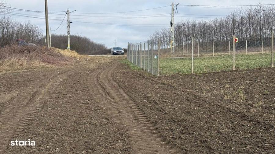 Teren de 903 mp, în Aroneanu
