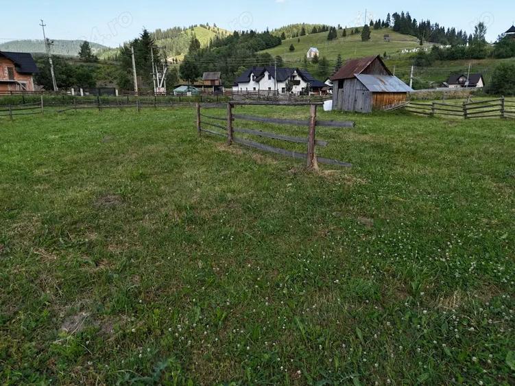 Teren de vanzare intravilan in Bucovina Breaza - 17
