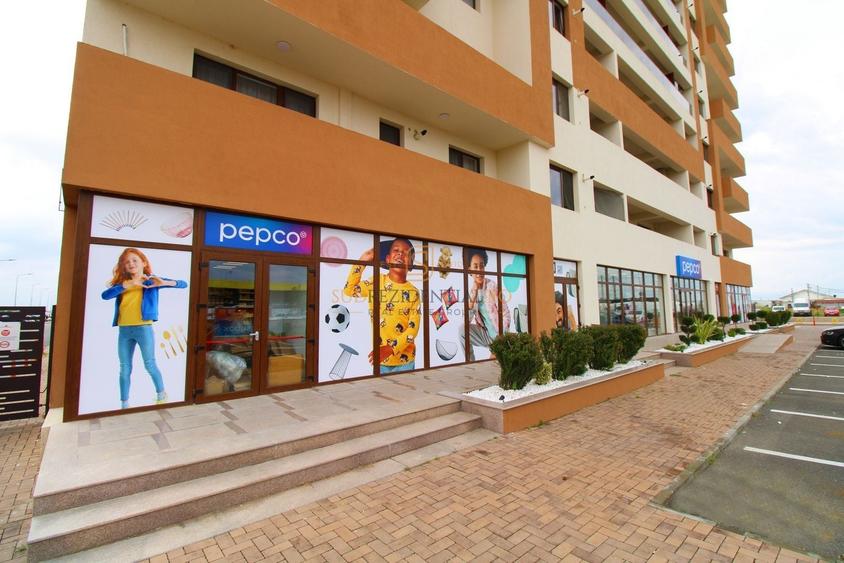 Teren Construcții intravilan de 8900 mp, în Rahova