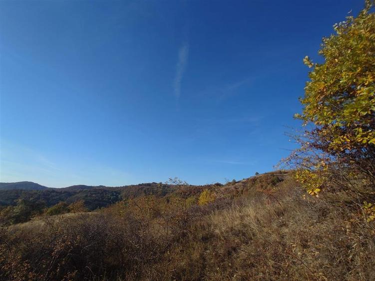 Teren extravilan de 12166 mp, în Vălișoara
