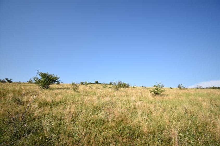 Teren agricol extravilan de 16800 mp, în Chinteni