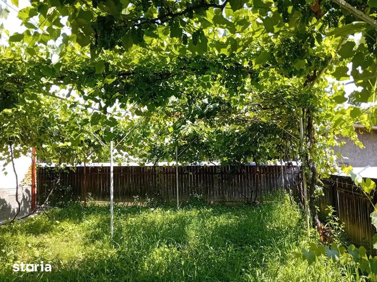 Casă cu 5 camere cu Teren 200 Mp în Curița