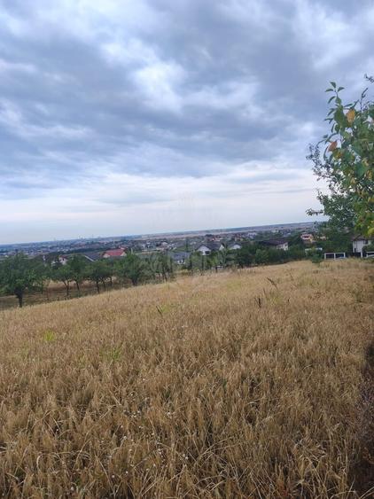 Teren Construcții intravilan de 2930 mp, în Păulești