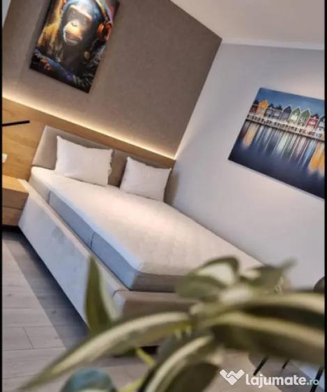 Garsonieră decomandată, mobilată în Sărari
