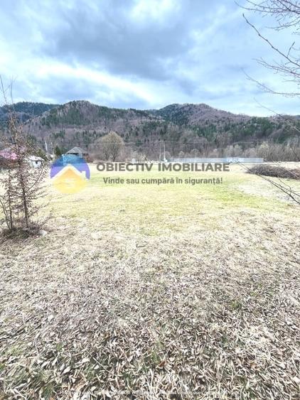 Teren intravilan de 2207 mp, în Tarcău