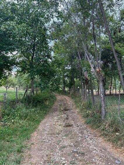 Teren de 5000 mp, în Corbi