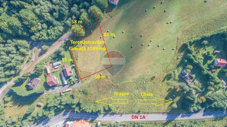 Teren Construcții intravilan de 3289 mp, în Babarunca