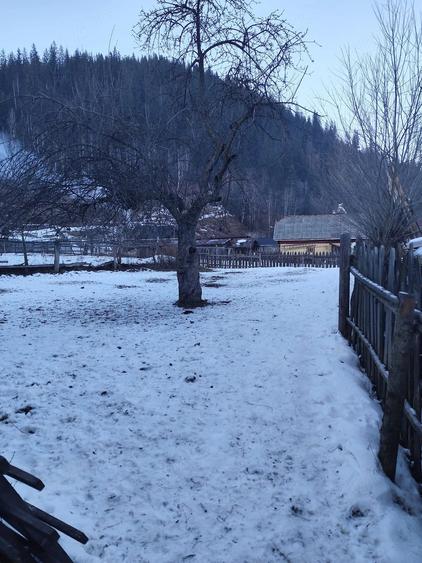 Casă cu Teren 800 Mp în Fundu Moldovei