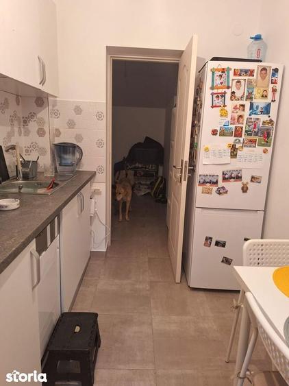 Apartament cu 3 camere în Tei