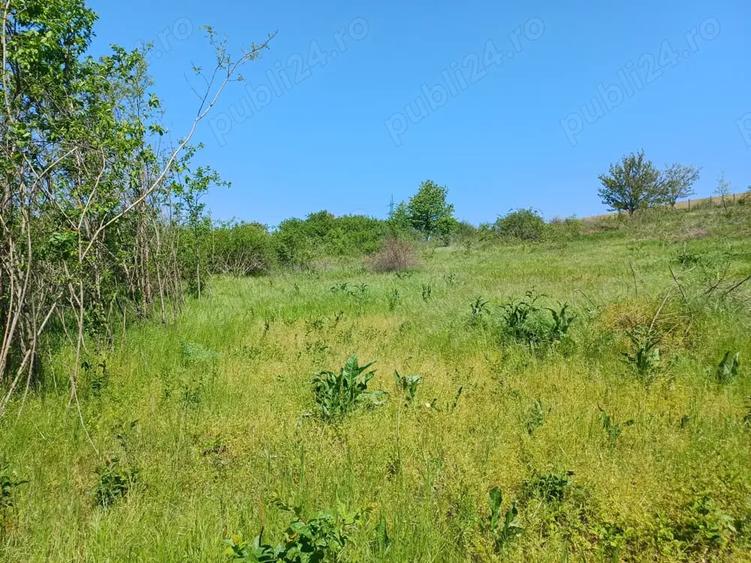 Teren de 1900 mp, în Cuza Vodă (Popricani)