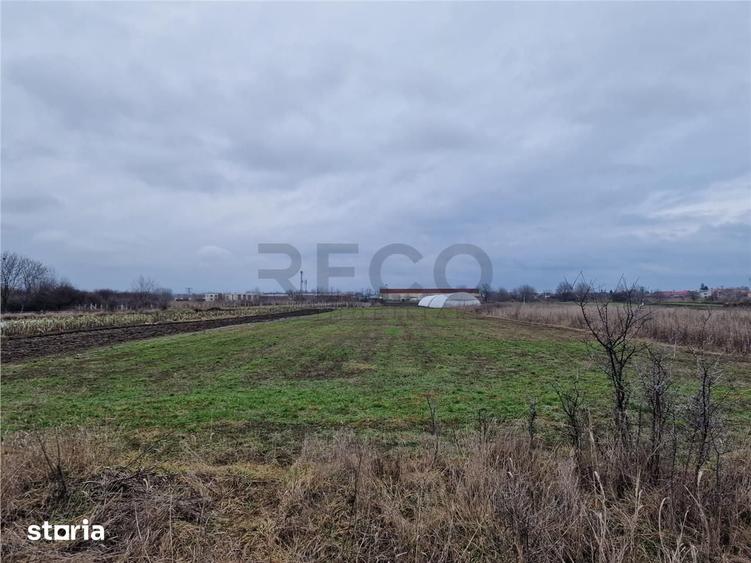RECO Teren intravilan in Bors cu front mare - 6