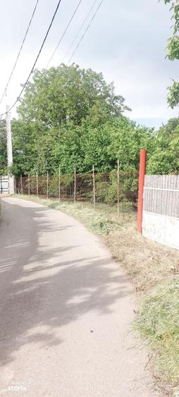 Teren de 1460 mp, în Dascălu