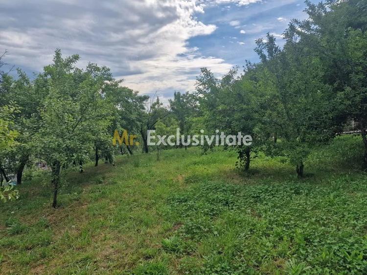 Teren intravilan 1400 mp - Albota ! - 2
