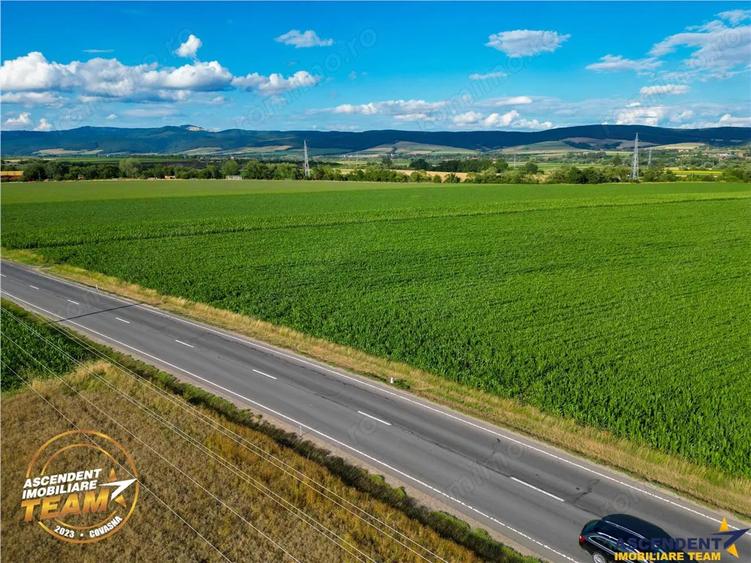 Teren de 30200 mp, în Valea Crișului