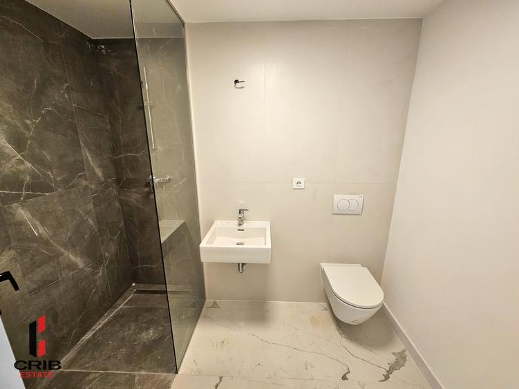 Apartament cu 2 camere decomandat în Jiului