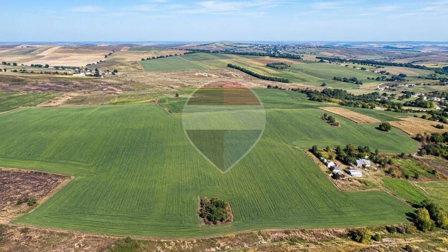 Teren agricol intravilan de 101886 mp, în Buzeni