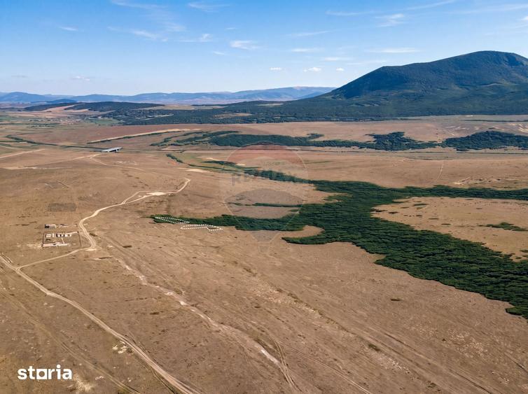 Teren de 769 mp, în Central