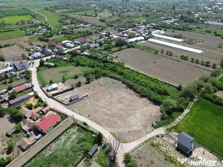 Teren în Rădulești