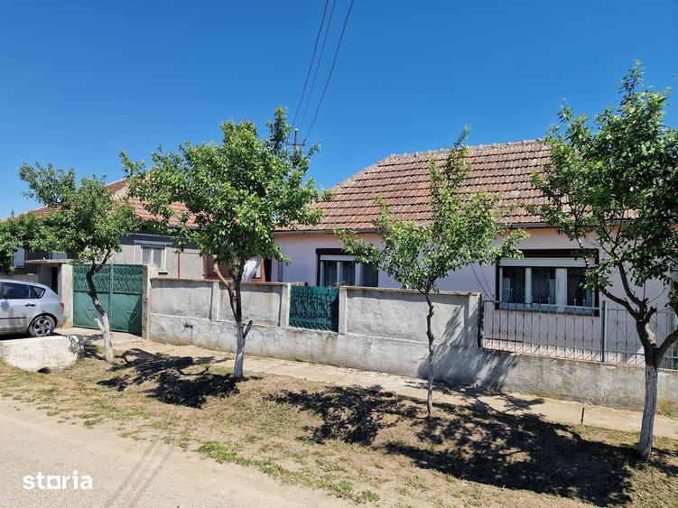Casă cu 6 camere cu Teren 4780 Mp în Homorog