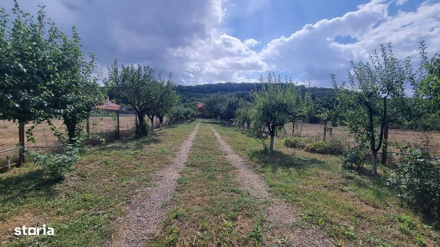 Casă cu 4 camere în Hidiș