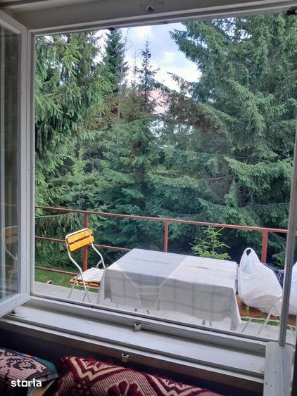 Cabana de vanzare in Muntele Bai?orii Zona Jera - 16