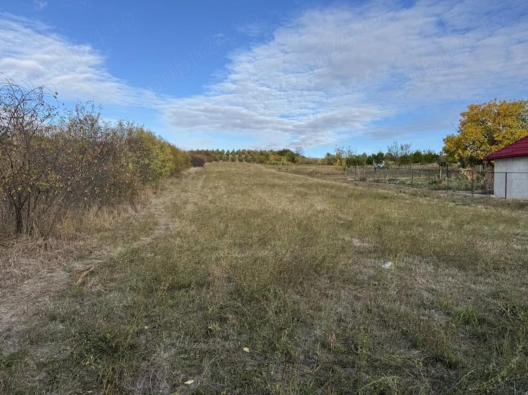 Teren de 4355 mp, în Săcășeni