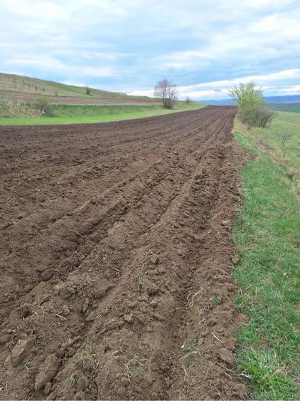 Teren de 30000 mp, în Mihoveni