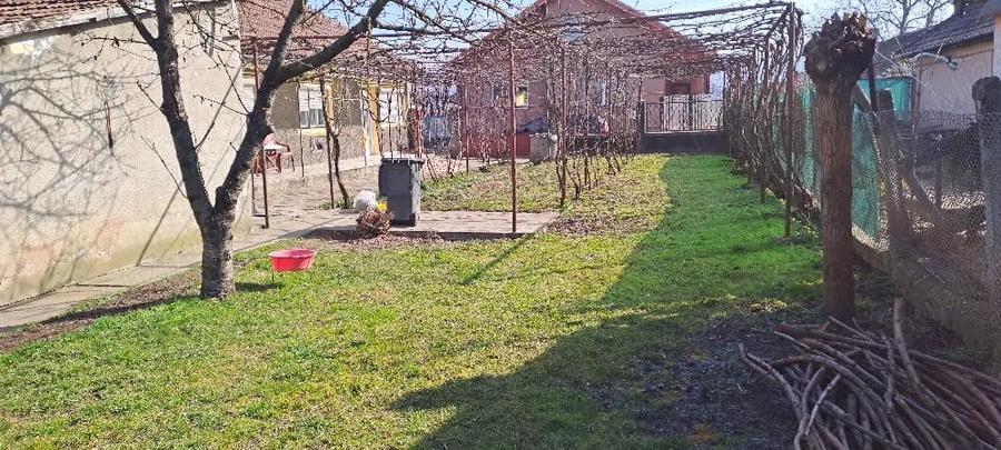 Casă cu Teren 700 Mp în Teiu